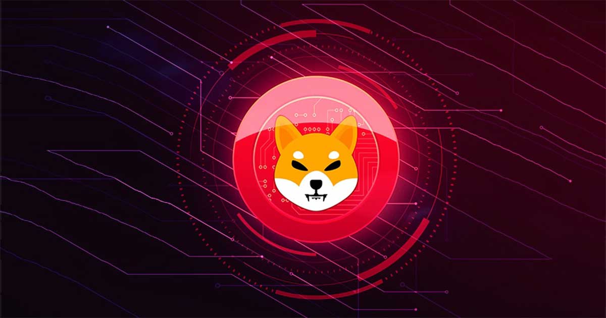 shiba 2