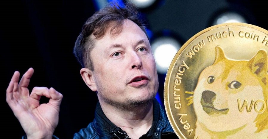 elon musk and dogecoin