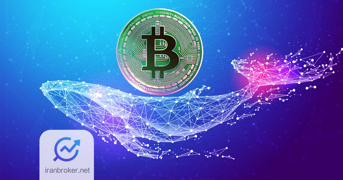 Crypto Whale