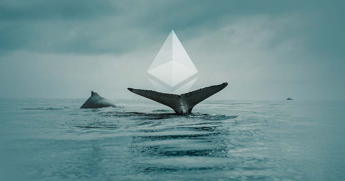 Ethereum whale