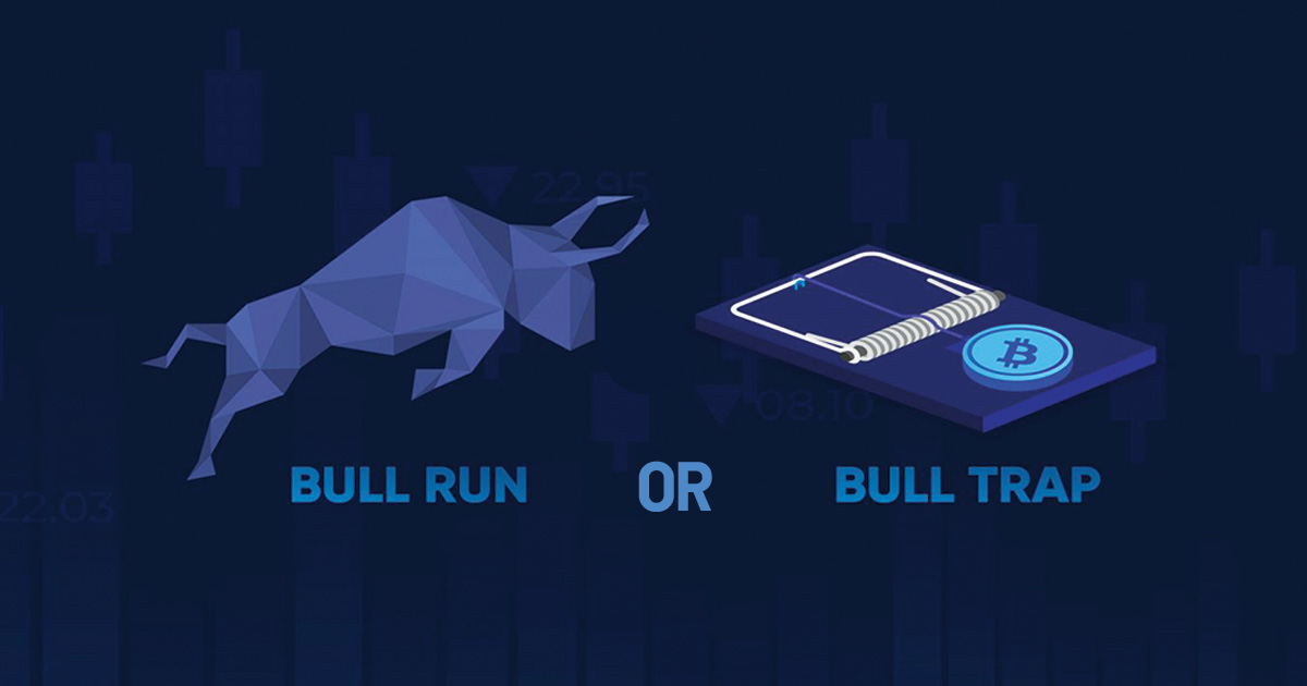 bullrun or bulltrap