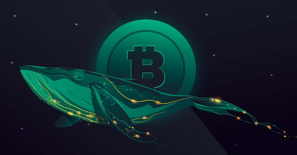 انتقال بیت کوین توسط نهنگ ها