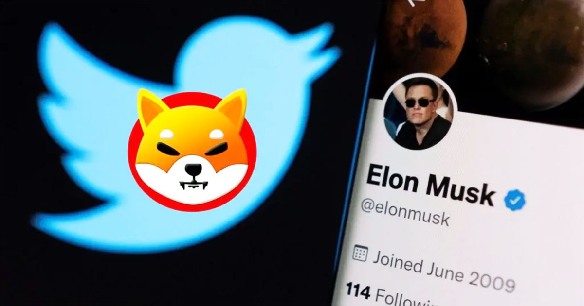 elon musk twitter shiba inu token shytoshi kusama