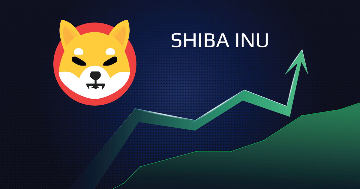 shiba price rise