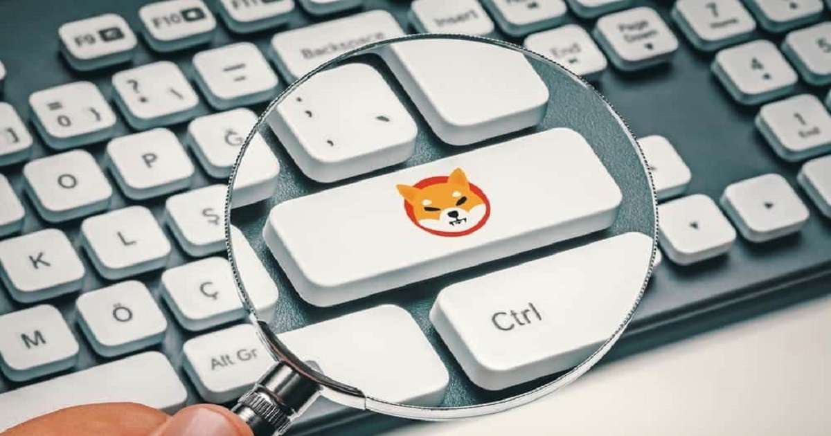 شیباریوم