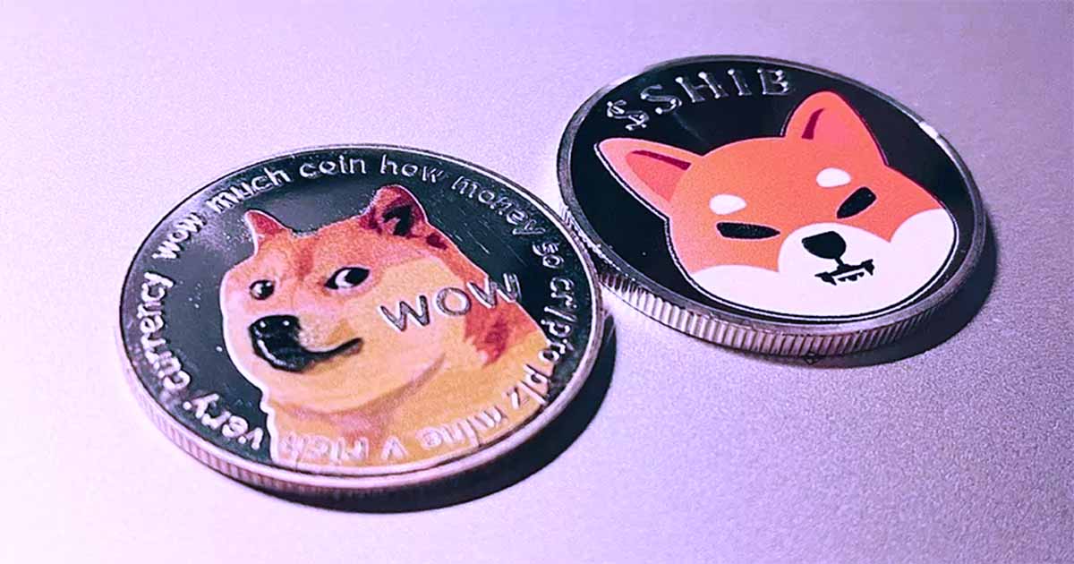 dogeshib cover