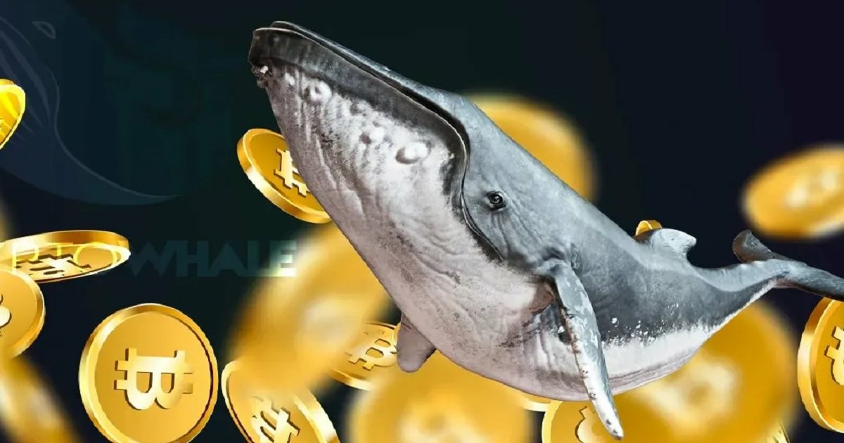 نهنگ‌های بیت کوین برای ادامه رالی صعودی در تلاش هستند