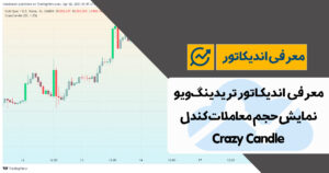 معرفی اندیکاتور نمایش حجم معاملات کندل در تریدینگ ویو | Crazy Candle