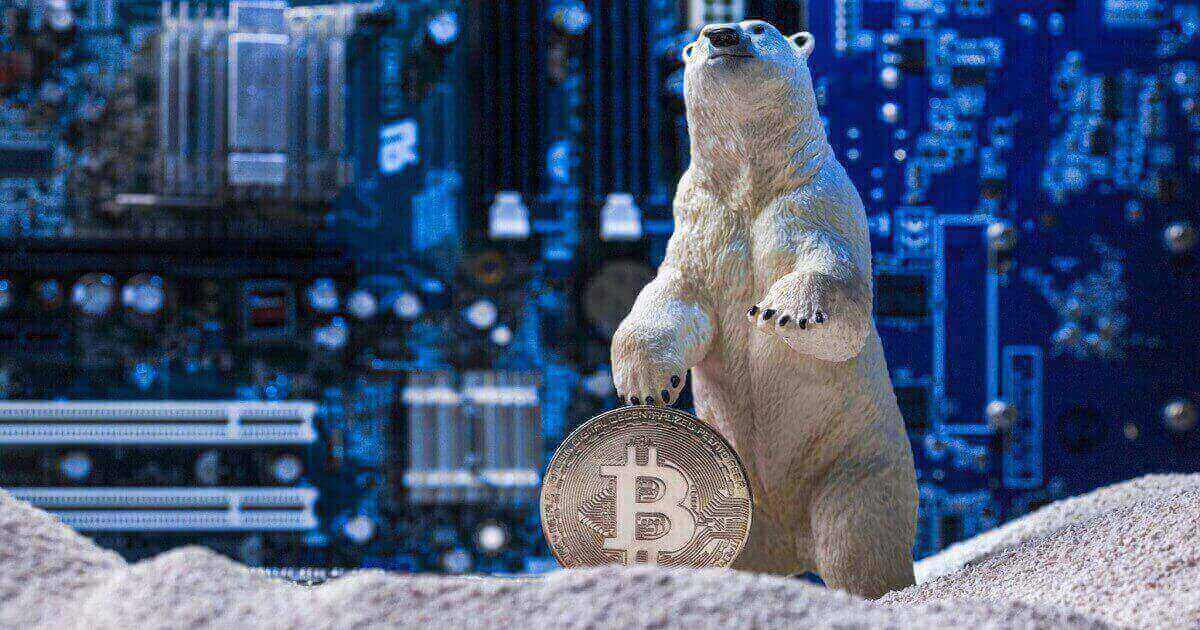 بازار خرسی بیت کوین- Bitcoin's bear market