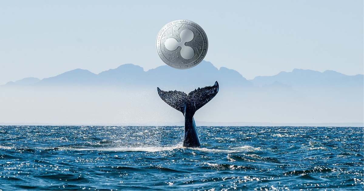 ریپل