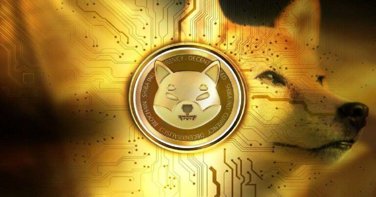 shiba 6763358 1280 768x432 1 1