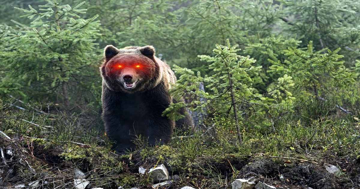 bear bitcoin laser eyesDepositphotos 36840391 xl 2015 1536x1022 1