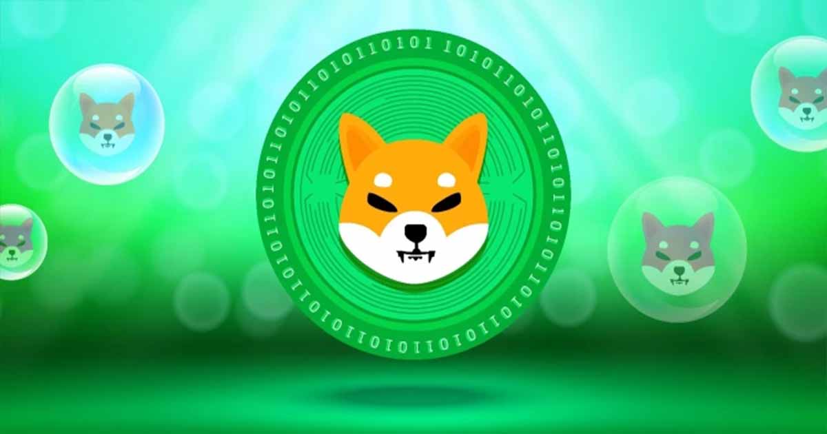heres why pepe and shiba inu prices are soaring