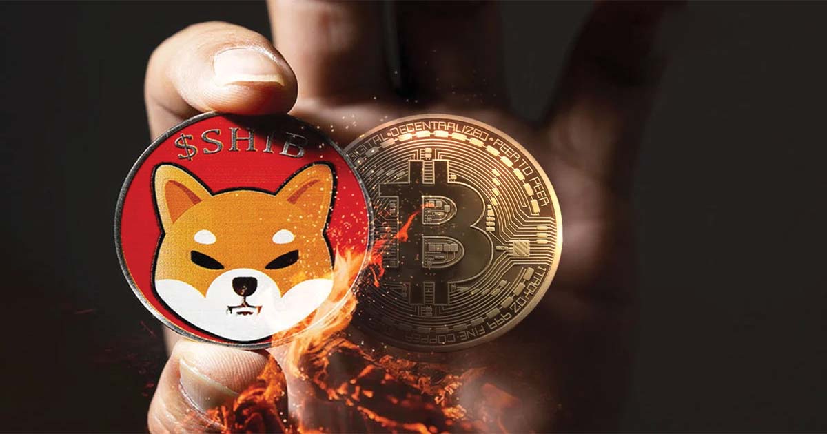 shiba inu open interest tops 100m raises red flag for bitcoin