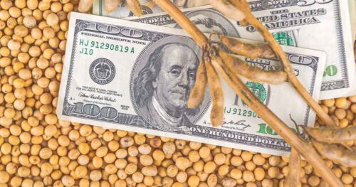 The price and review of soybeans 4