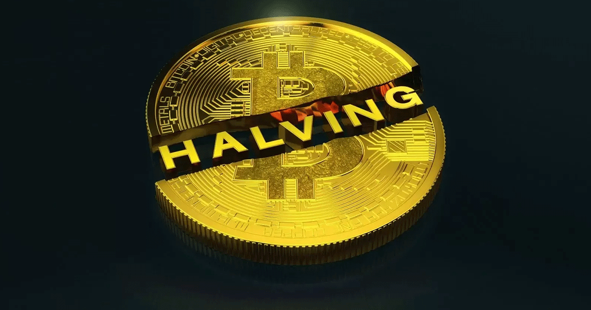 btc halving
