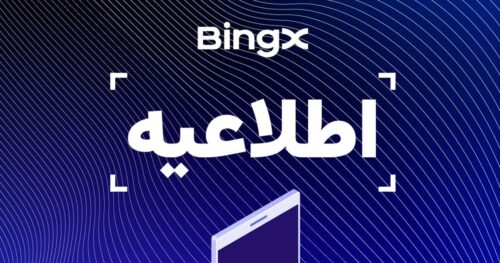 bingx 4