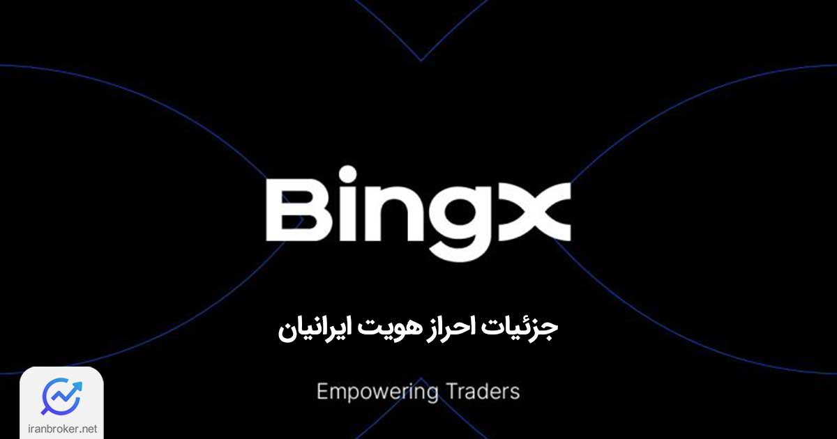 bingx 3