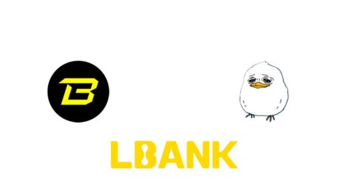 lbank 8