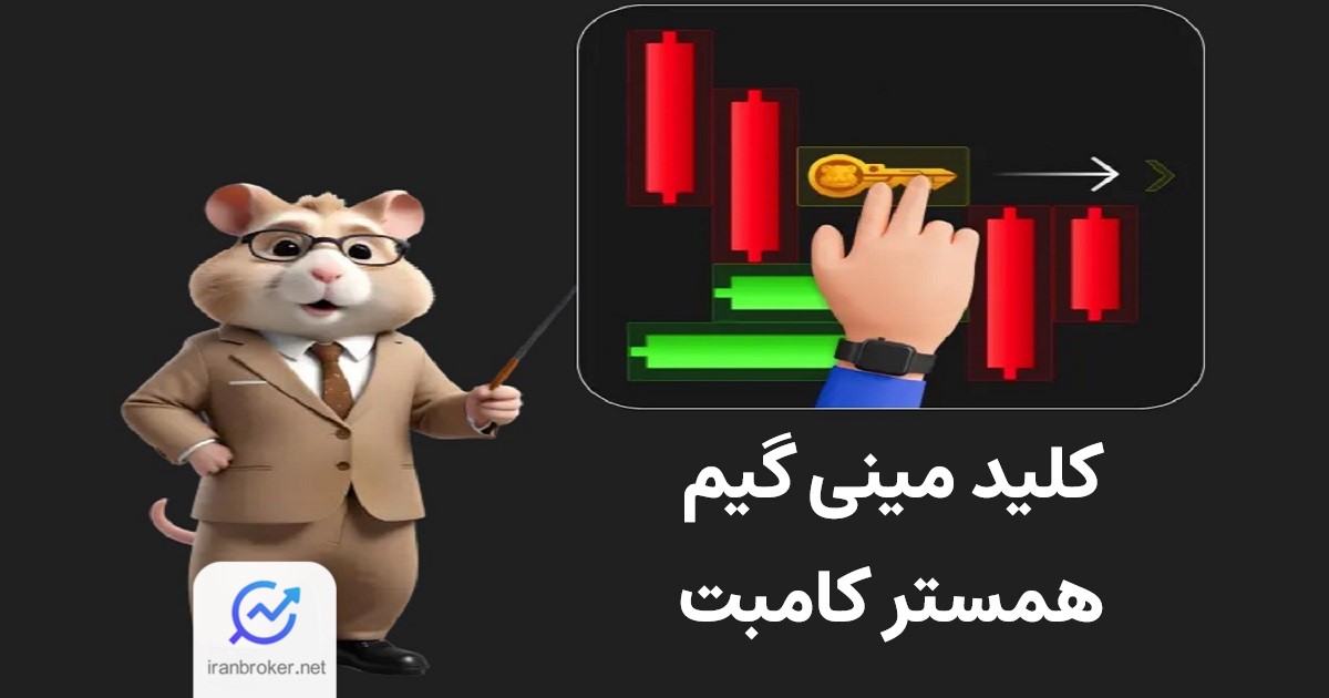 مینی گیم همستر کامبت