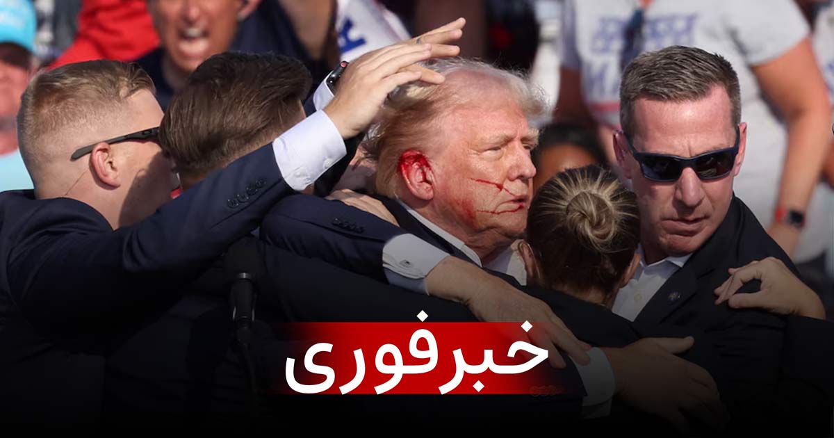 trump 4