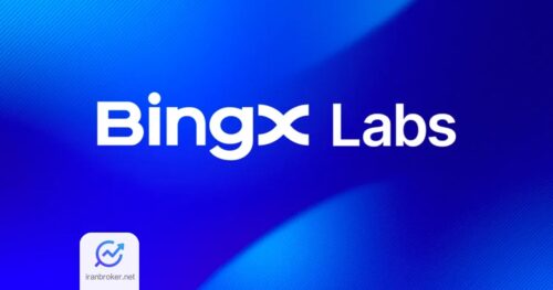 bingx
