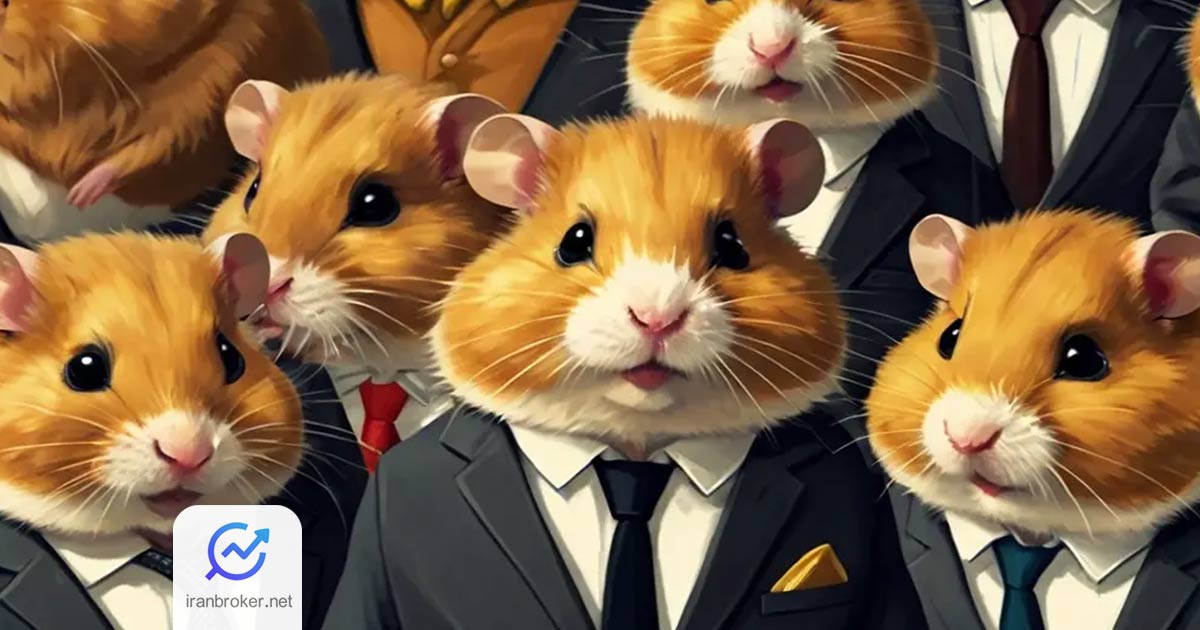 hamster 2