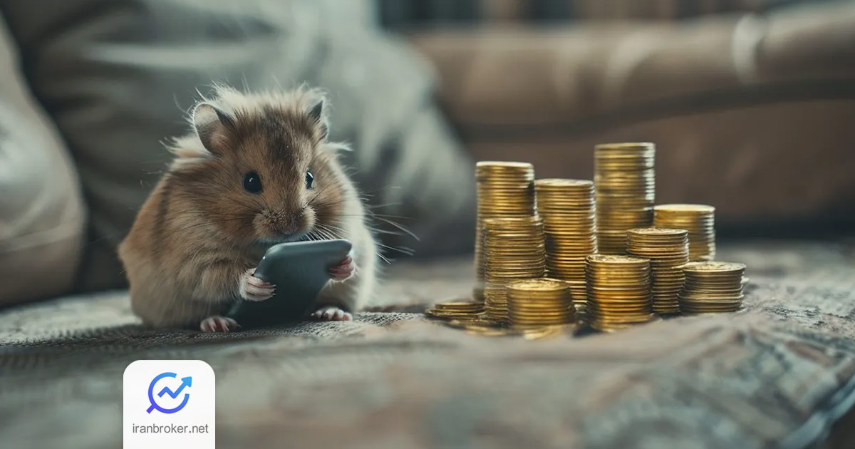 hamster 5