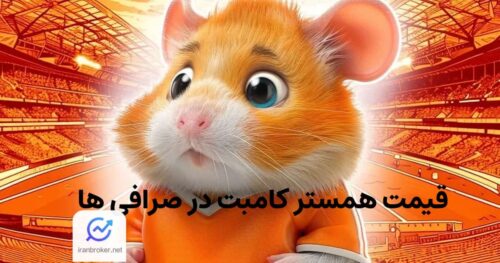 قیمت همستر