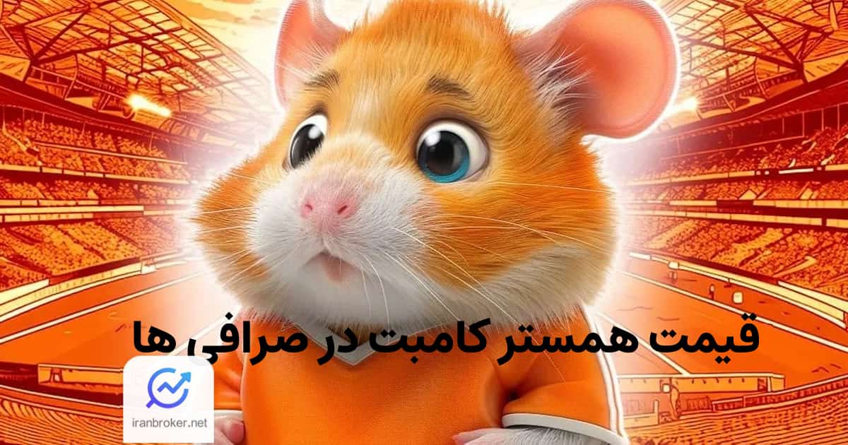 قیمت همستر