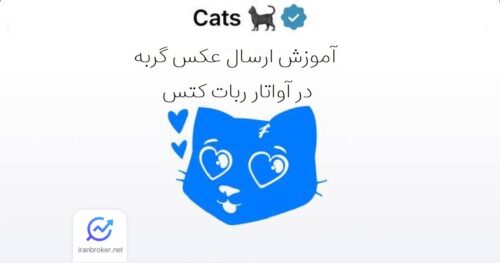 ارسال عکس گربه در ربات کتس