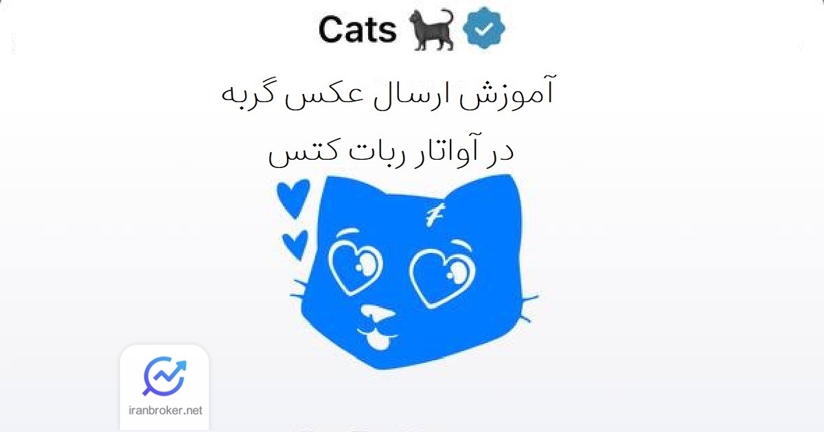 ارسال عکس گربه در ربات کتس