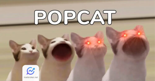 پاپ کت