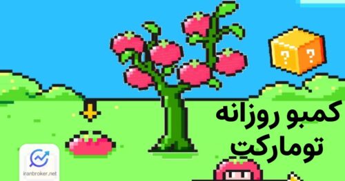 کمبو روزانه تومارکت