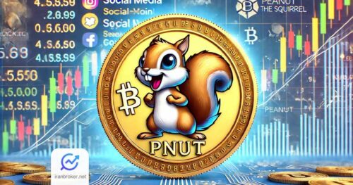 میم کوین سنجاب