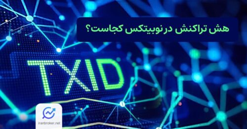 هش تراکنش در نوبیتکس کجاست؟