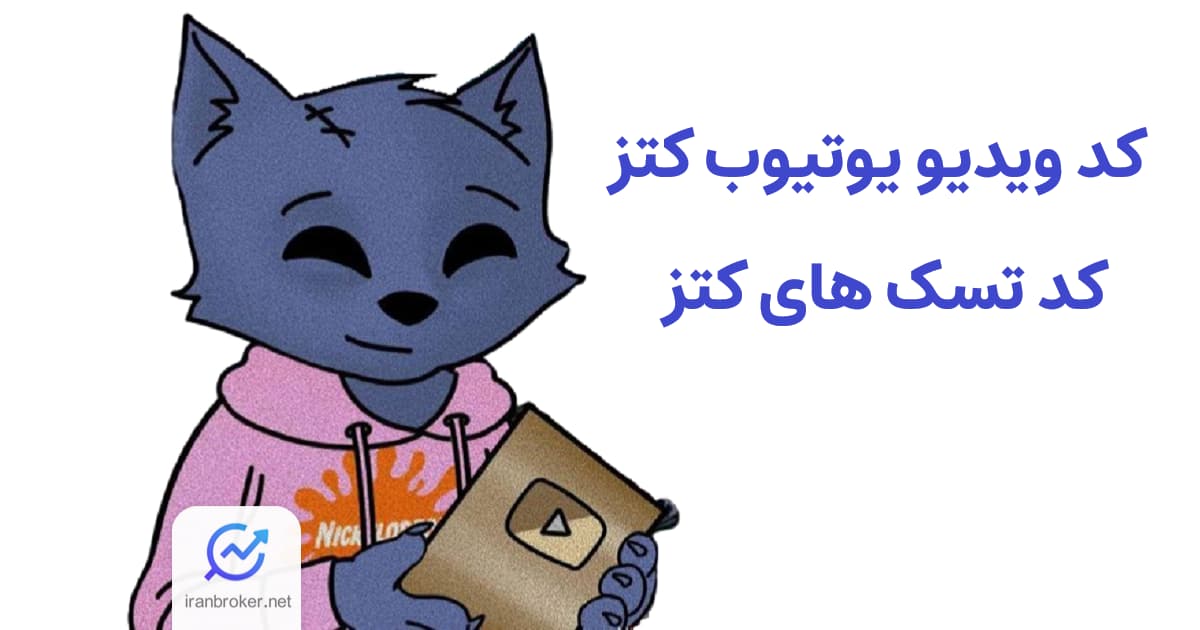 Cat video code 3