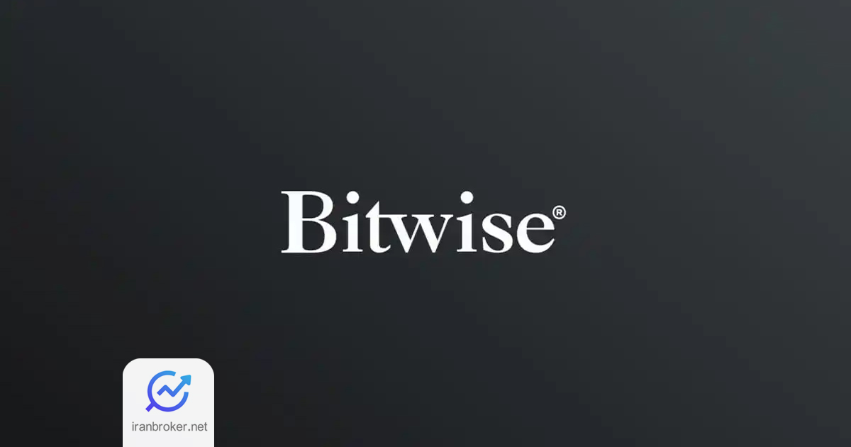 بیت وایز