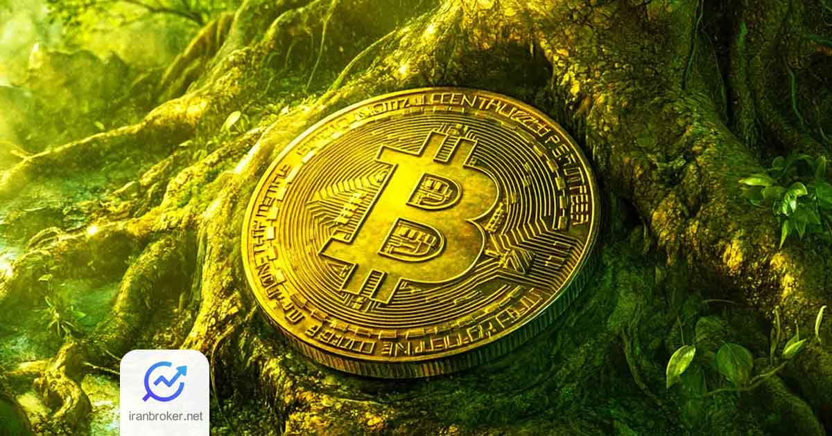 بیت کوین