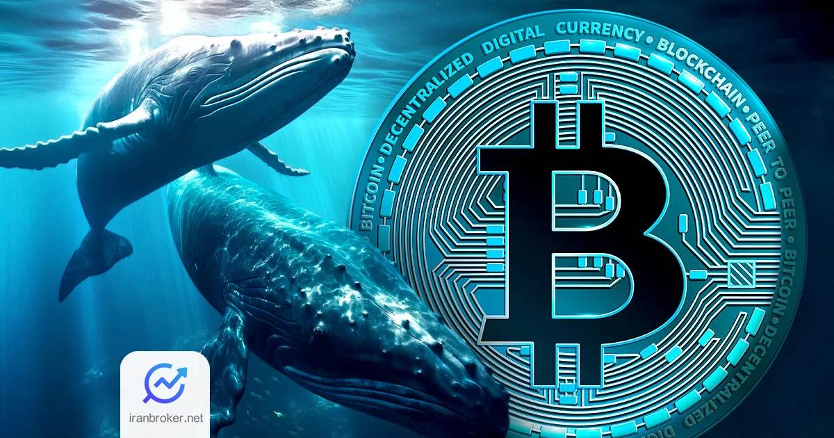 btc whales