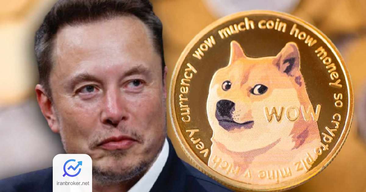 doge department