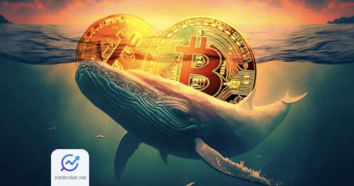 btcwhales