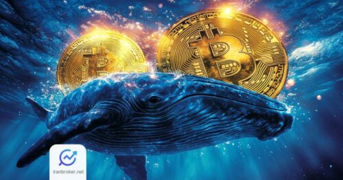 btc whales