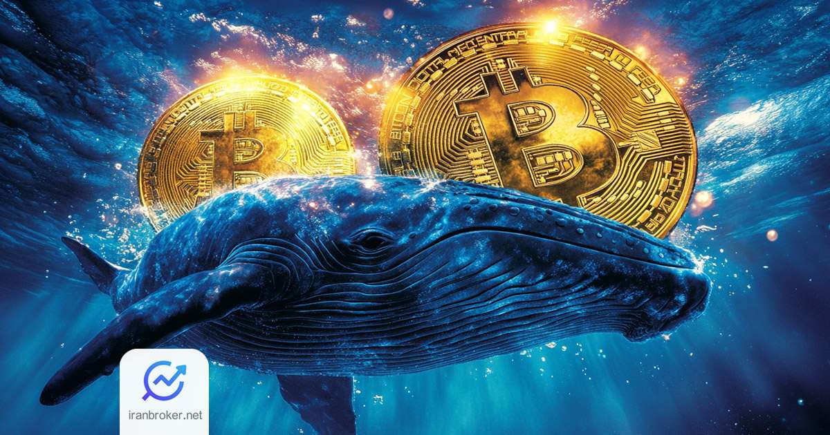 btc whales
