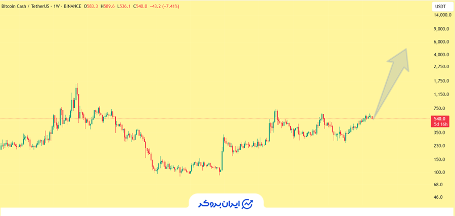 پیش بینی بیت کوین کش در سال ۲۰۳۰