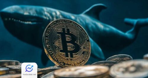btc 4