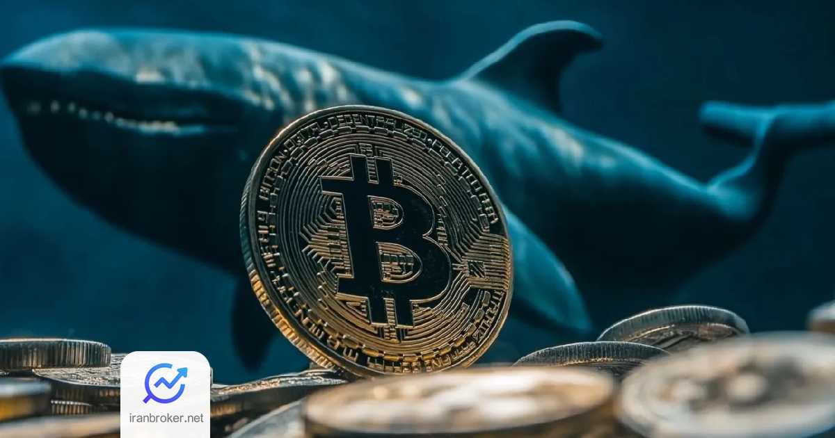 btc 4