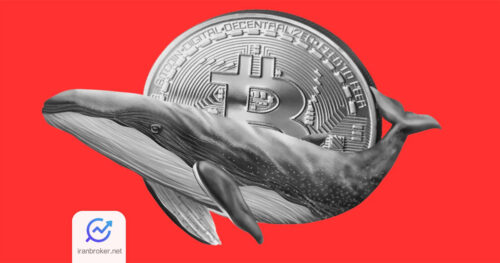 نهنگ قدیمی بیت کوین