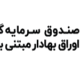 صندوق بورسی رز