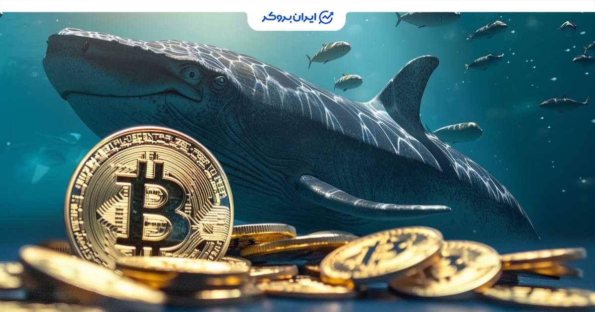 btc whale 1